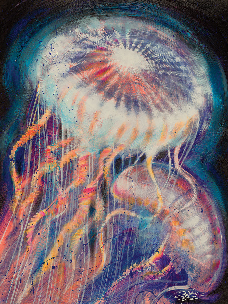 Jellyfish
