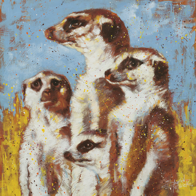 Meerkat - The Lookout