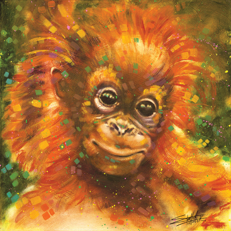 Orangutan -Baby Orangutan