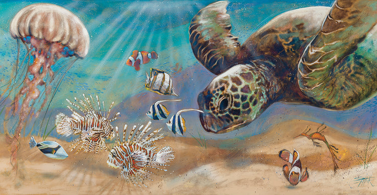 Sea Animals - Under The Sea