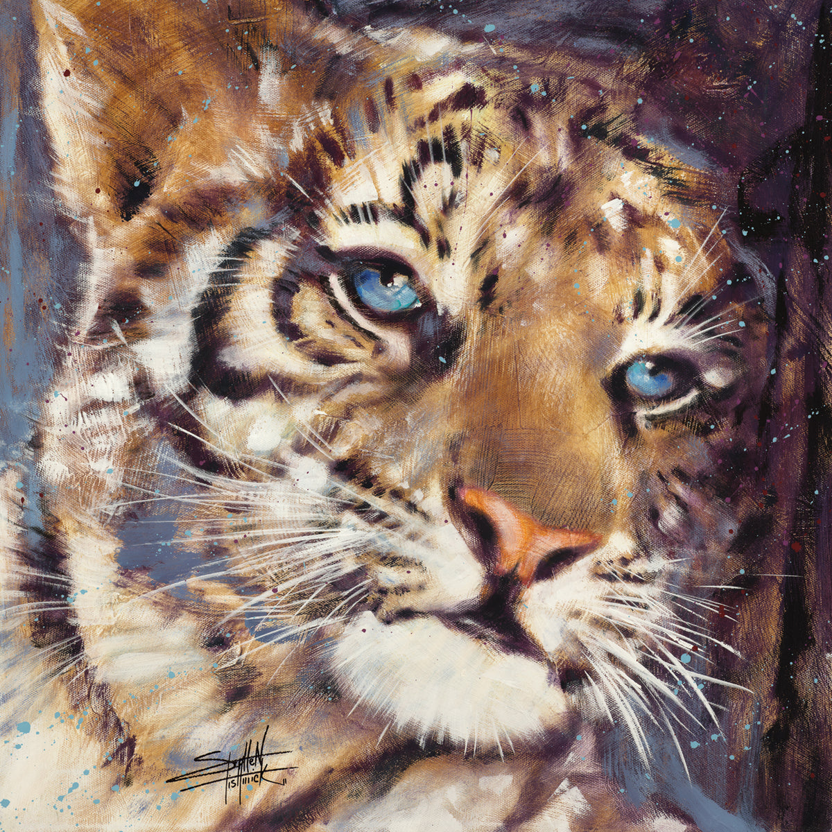 Tiger - Cub