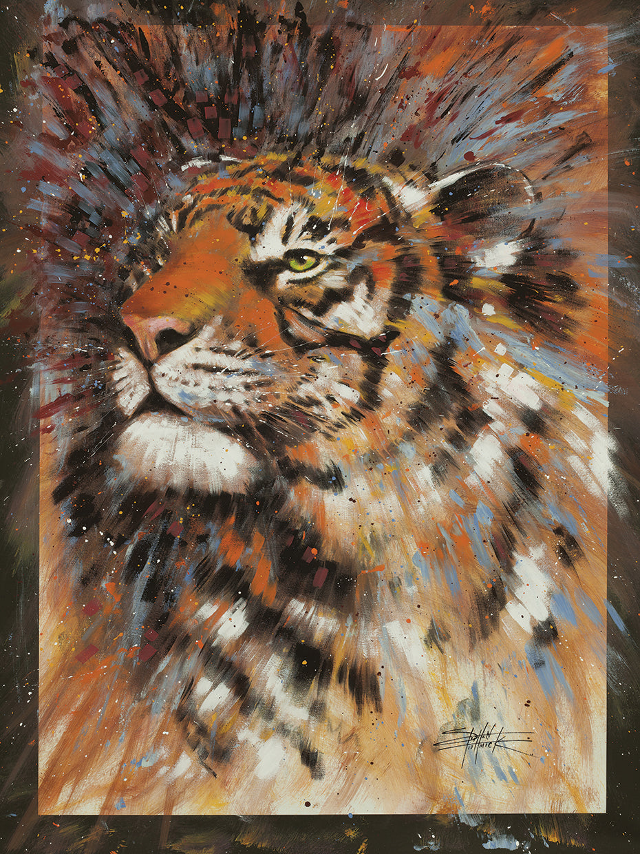 Tiger - Talia