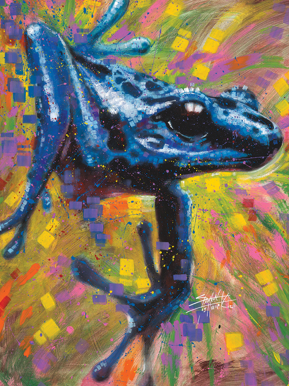 Tree Frog