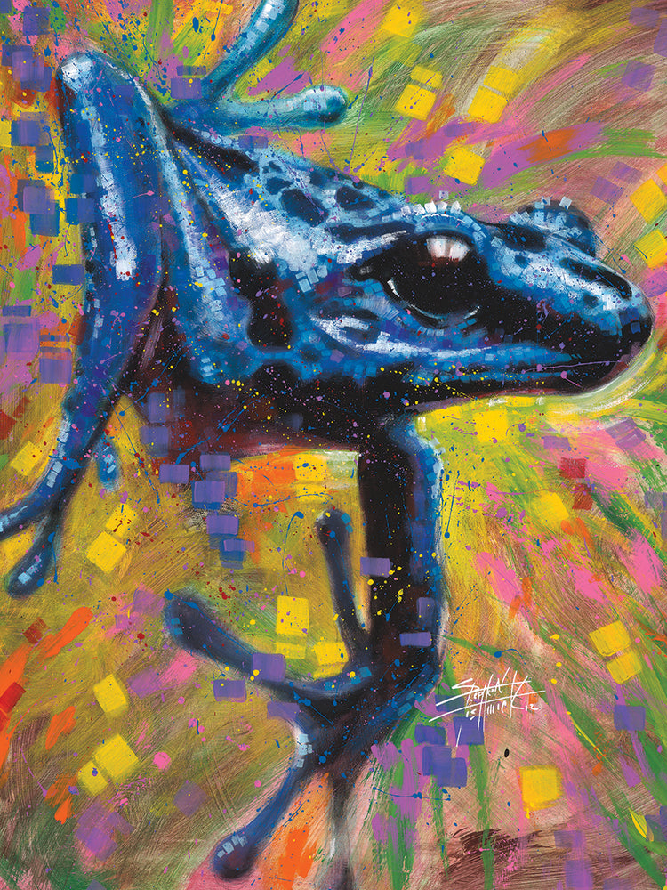 Tree Frog
