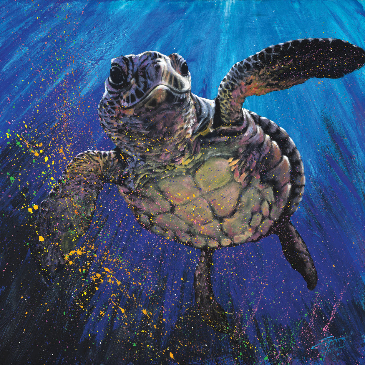 Turtle - Kemps Ridley