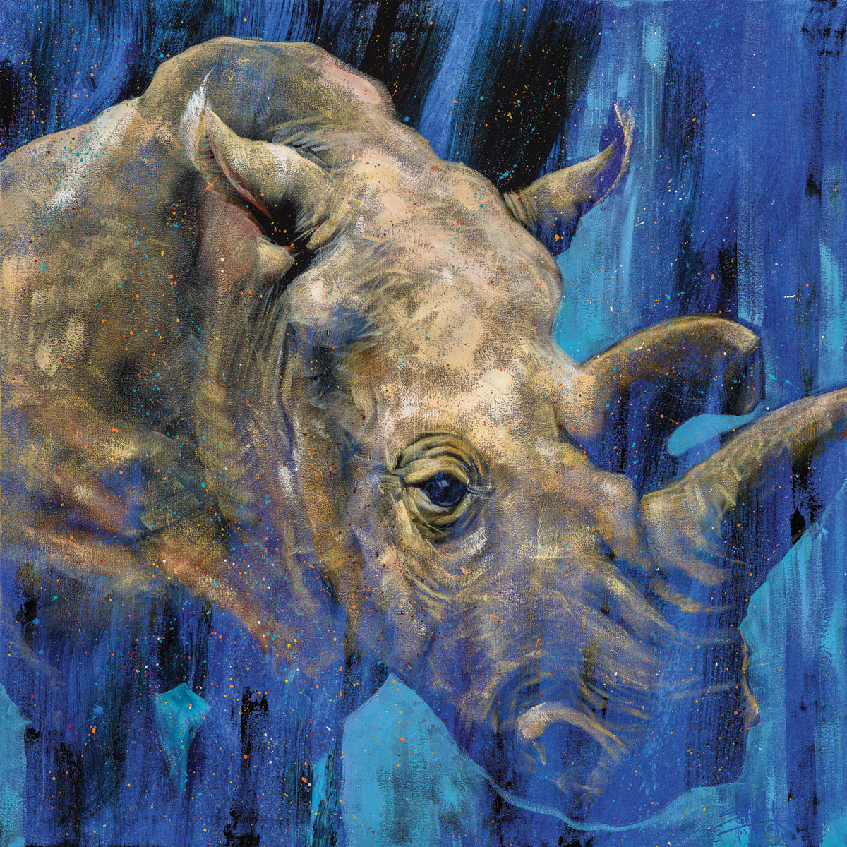 White Rhino - Nola