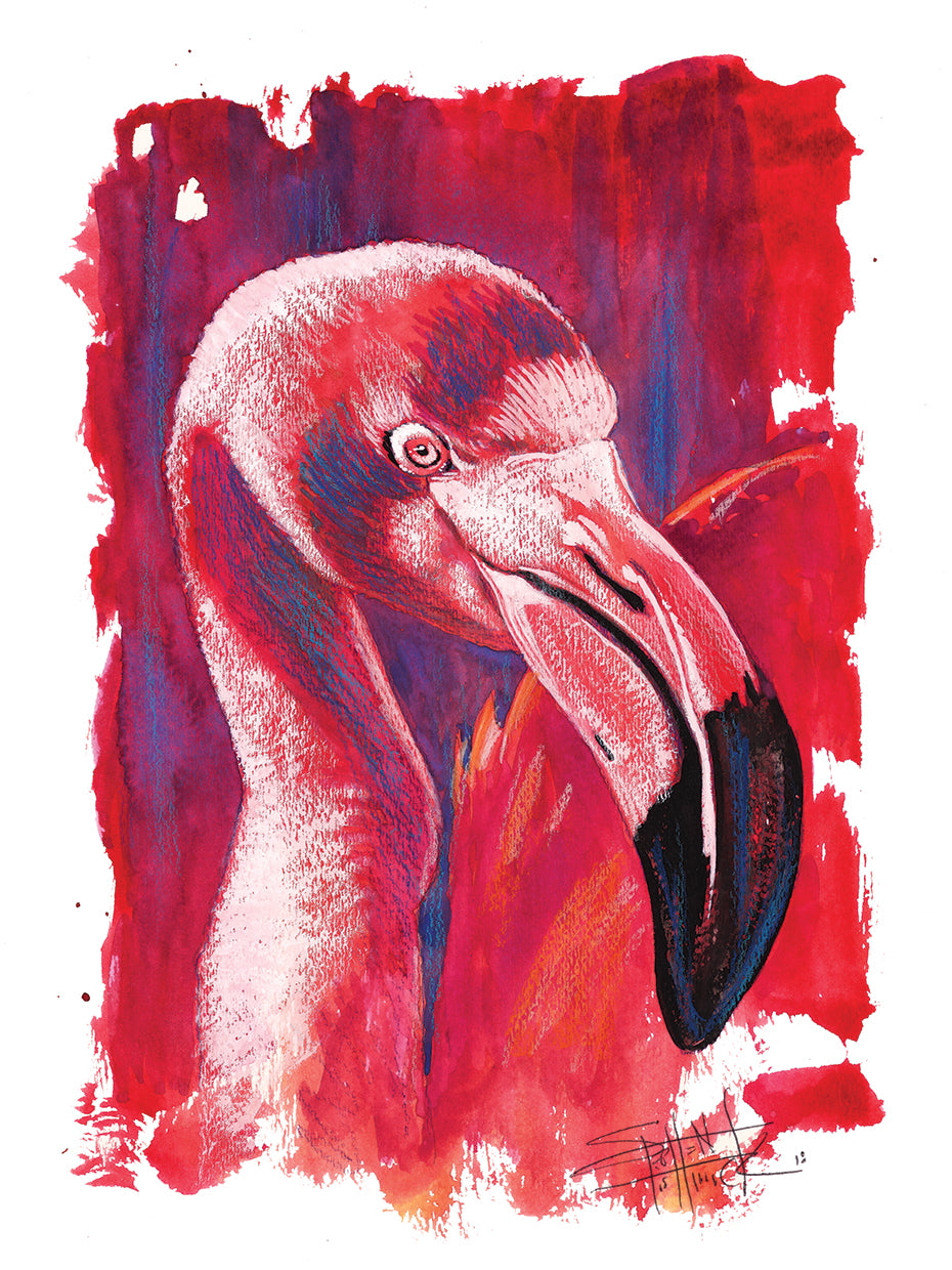 Wild Colors - Flamingo