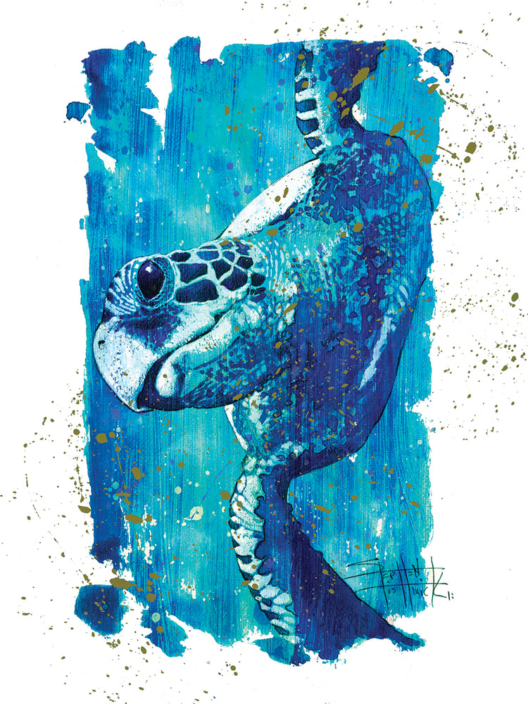 Wild Colors - Turtle