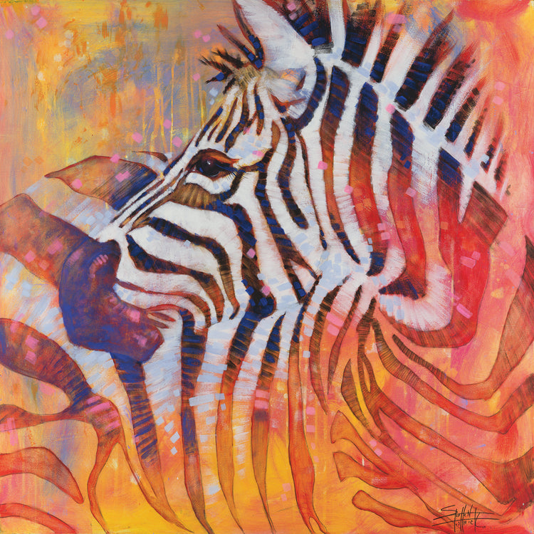 Zebra - Stripes All Over