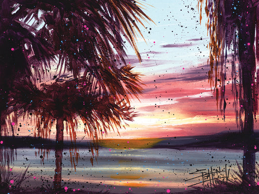 Landscapes - Palm Sunset
