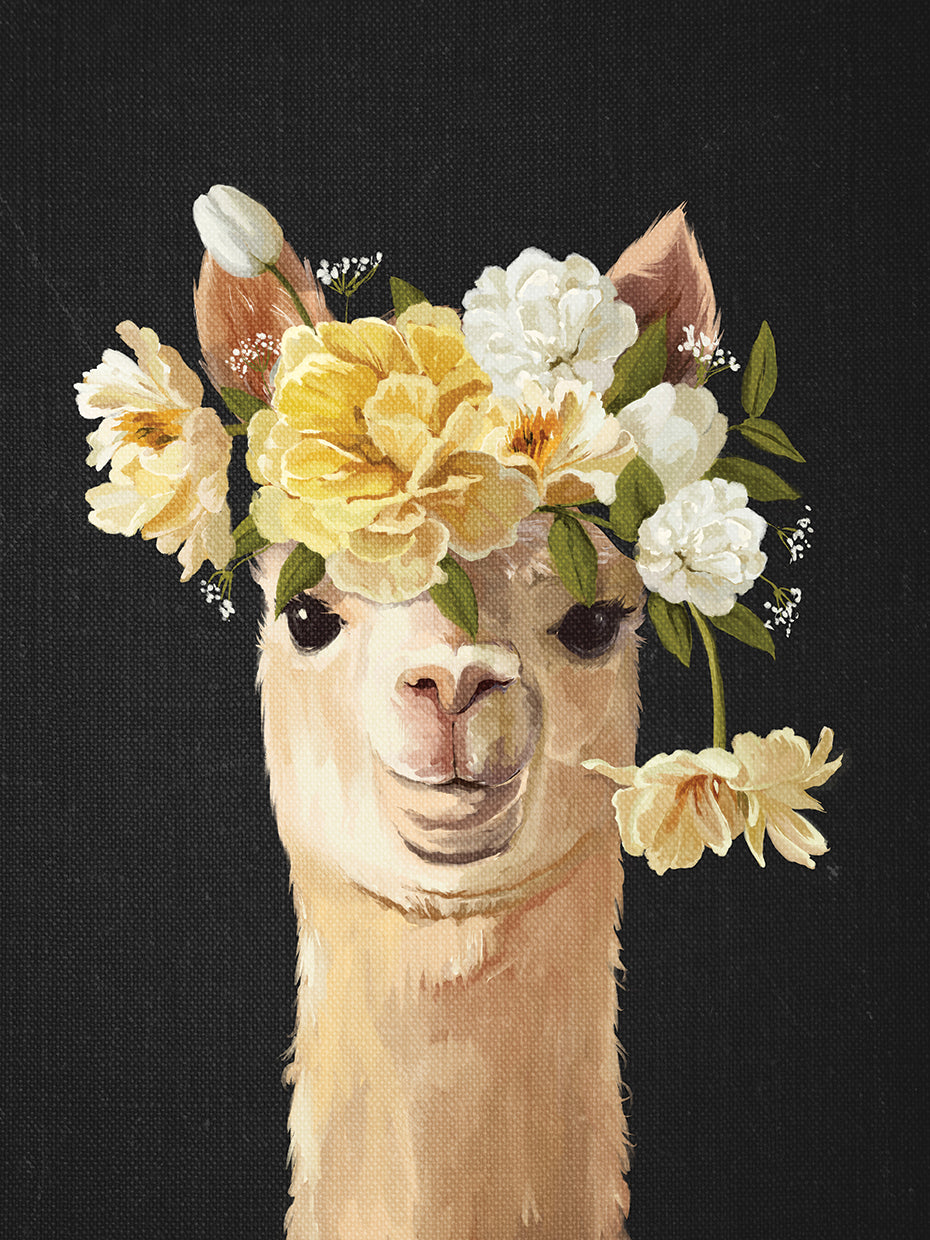 Animal and Flower Portrait Illama 2