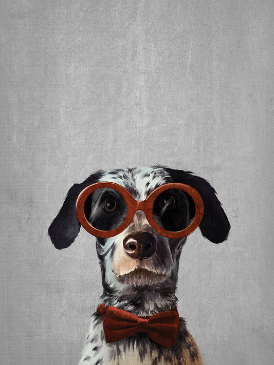 Dalmation with Glasses