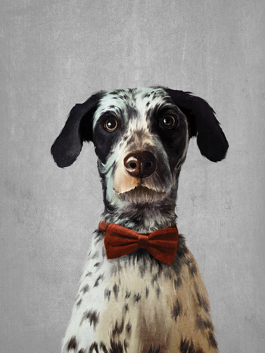 Dalmatian Dog Portrait 1