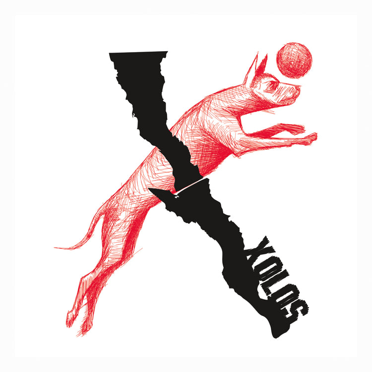 Xolos VIII