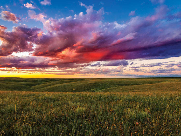 See Trought the field