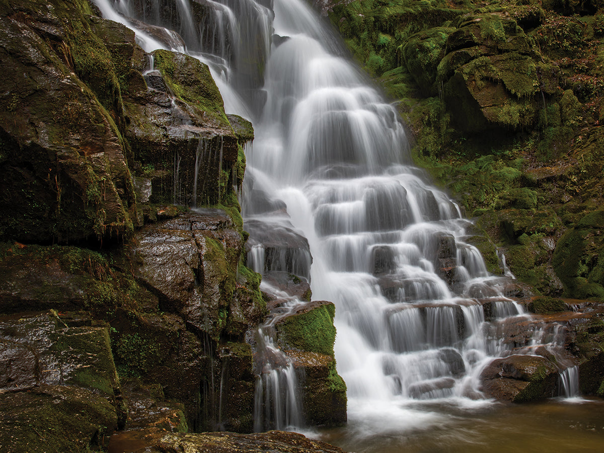 Mossy Falls