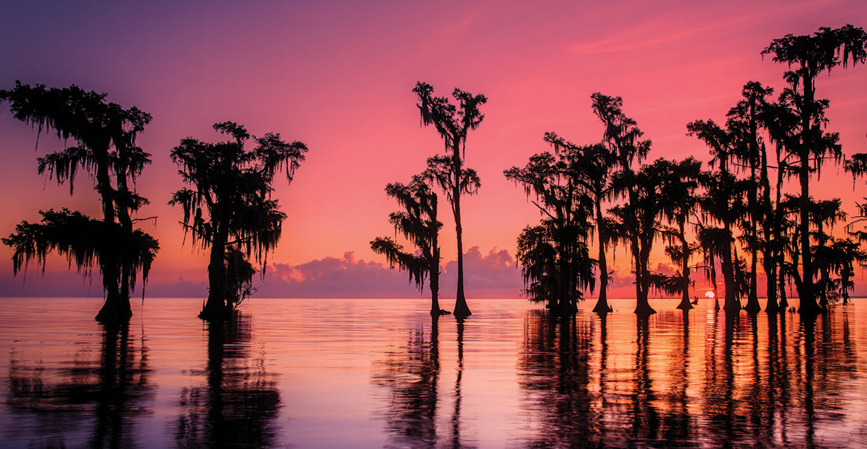 Pink Sky Sunset