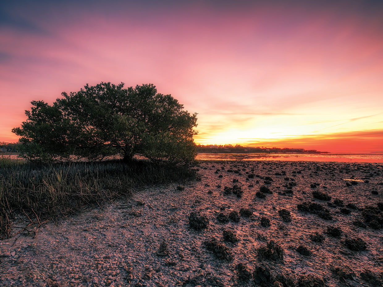 Sunset Landscape