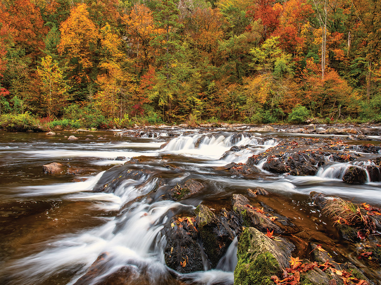 Autumn Falls
