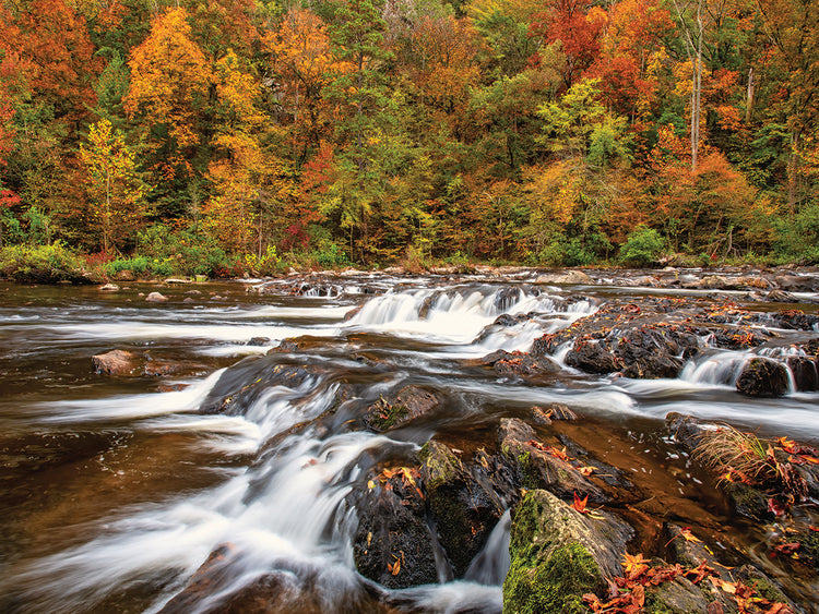 Autumn Falls