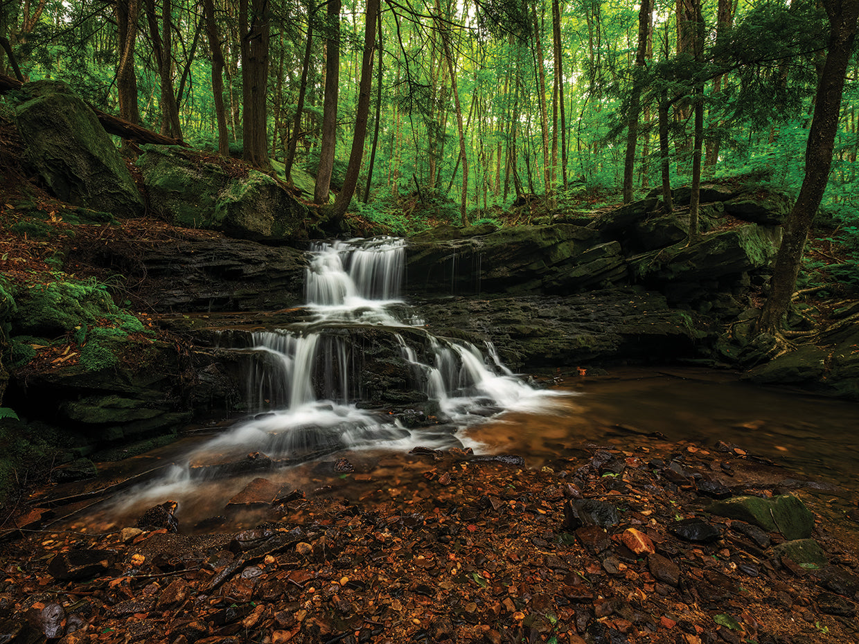 Logans Falls