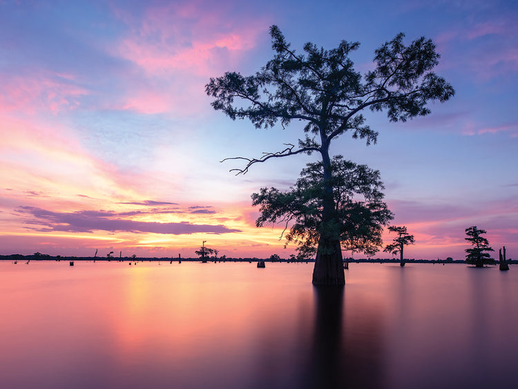 Summer Solstice Sunset