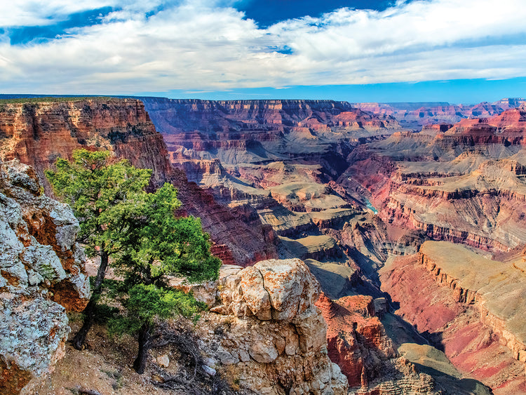 Standing on Navajo Point-Grand Canyon National Park
