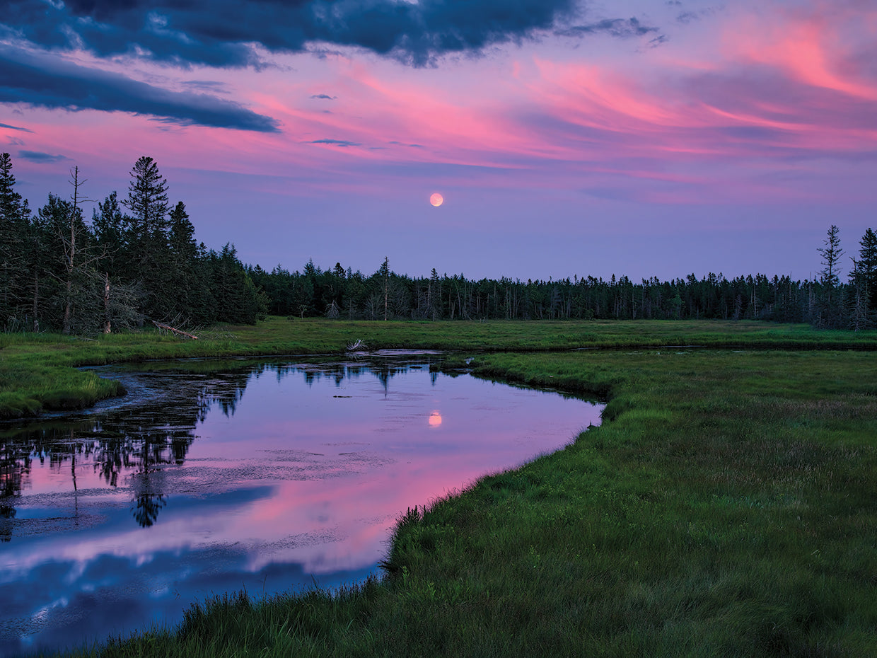 Moon Over Bass Harbor Marsh