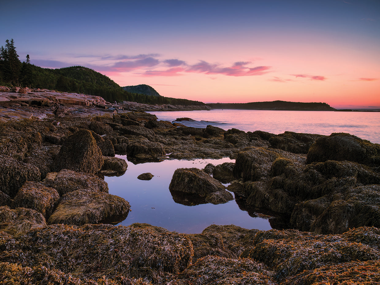 Sunrise at Ocean Path