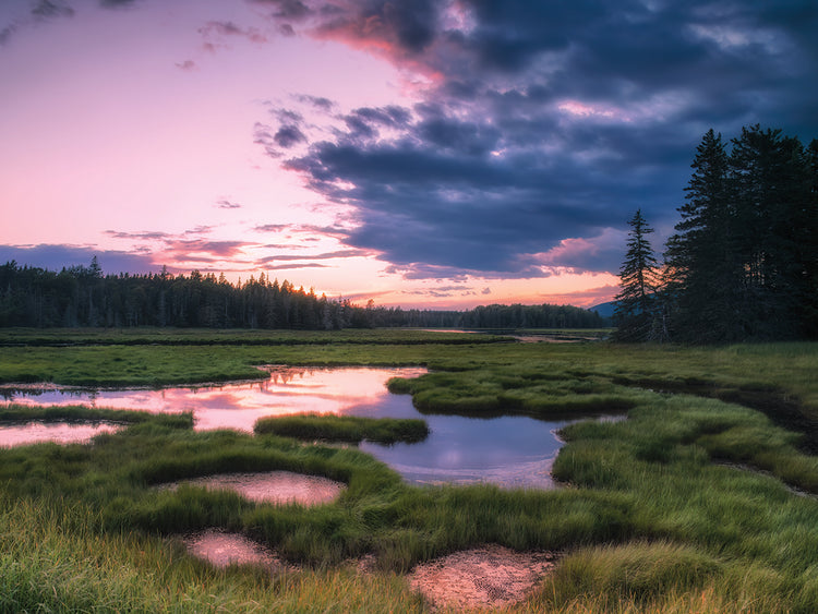 Sunset at Bass Harbor Marsh