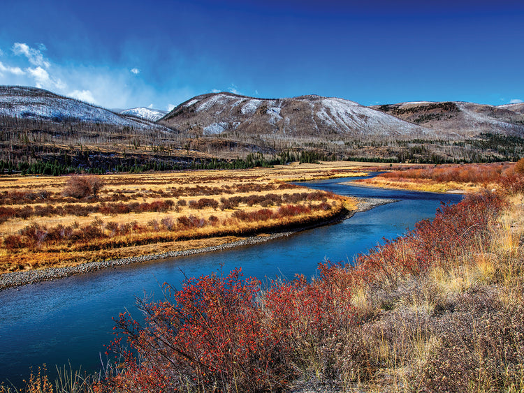 Winter at the Rio Oxbow Ranch