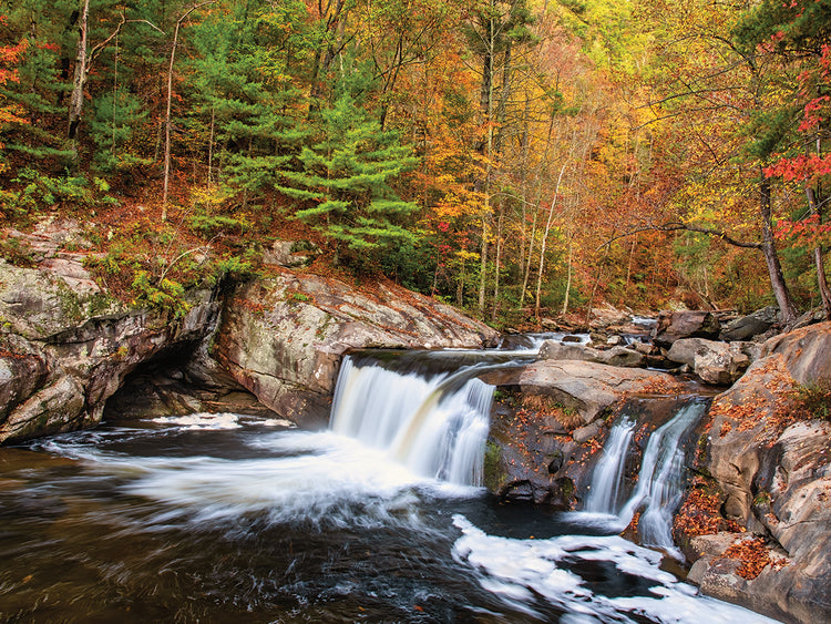 Baby Falls Tellico River