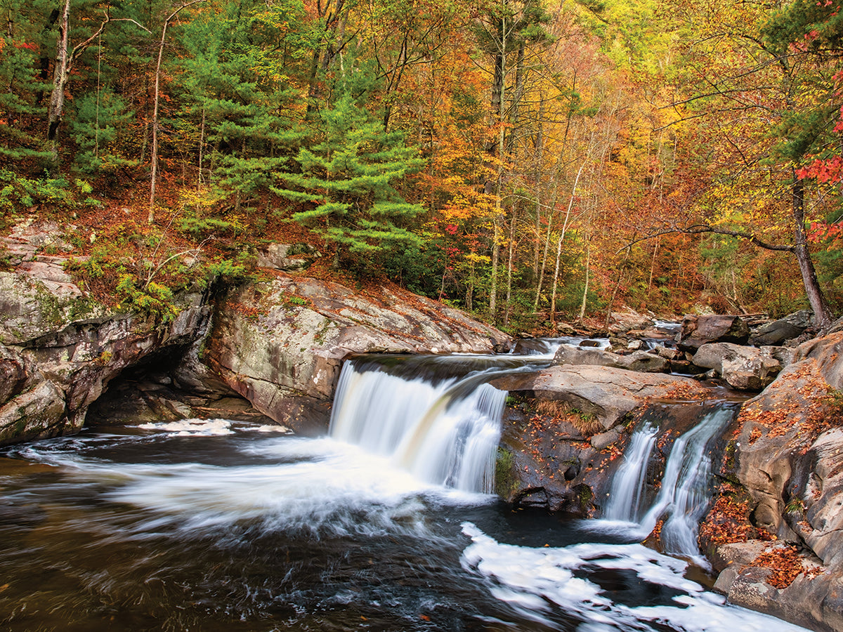 Baby Falls Tellico River 1