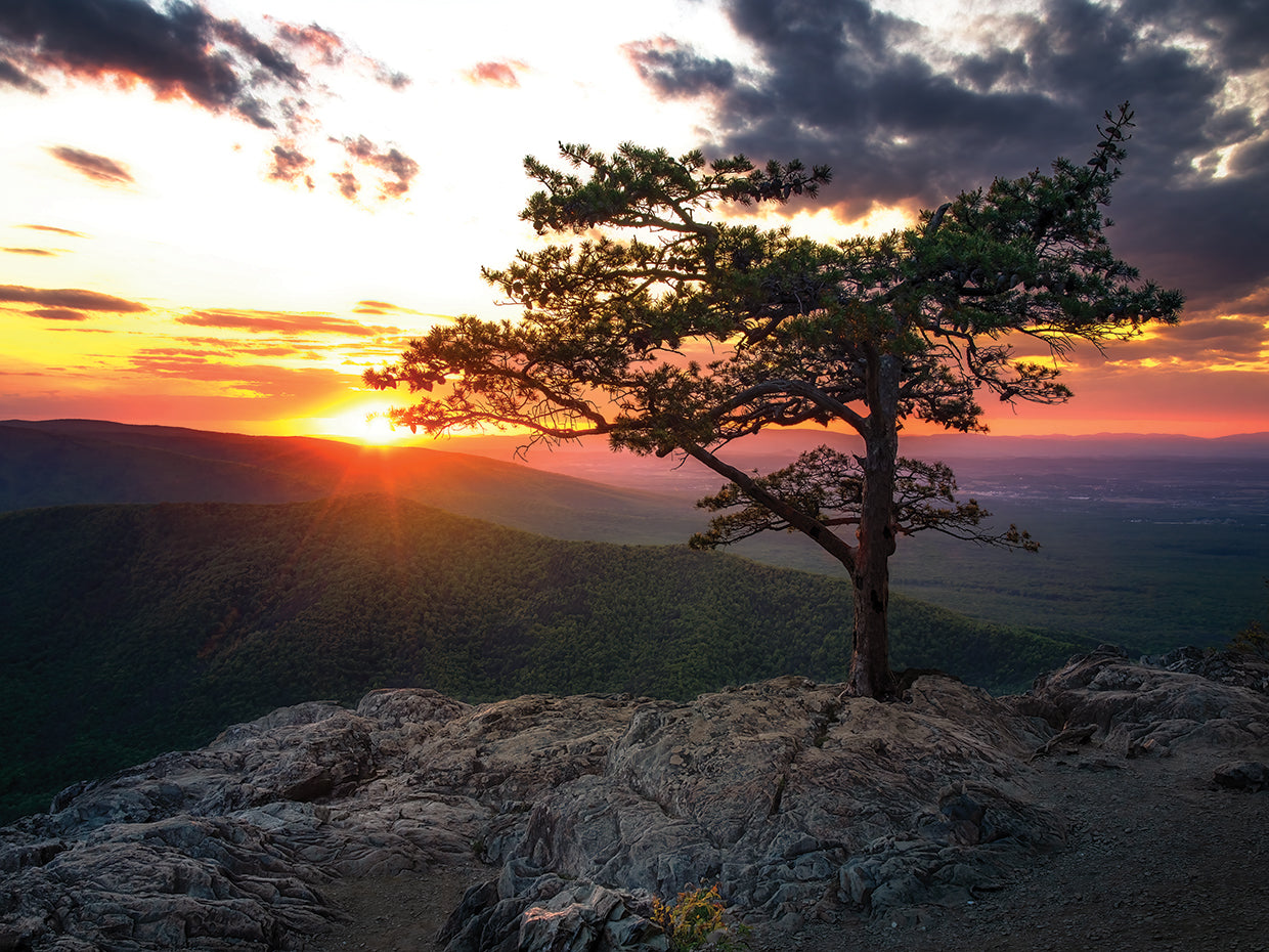 Sunset at Ravens Roost