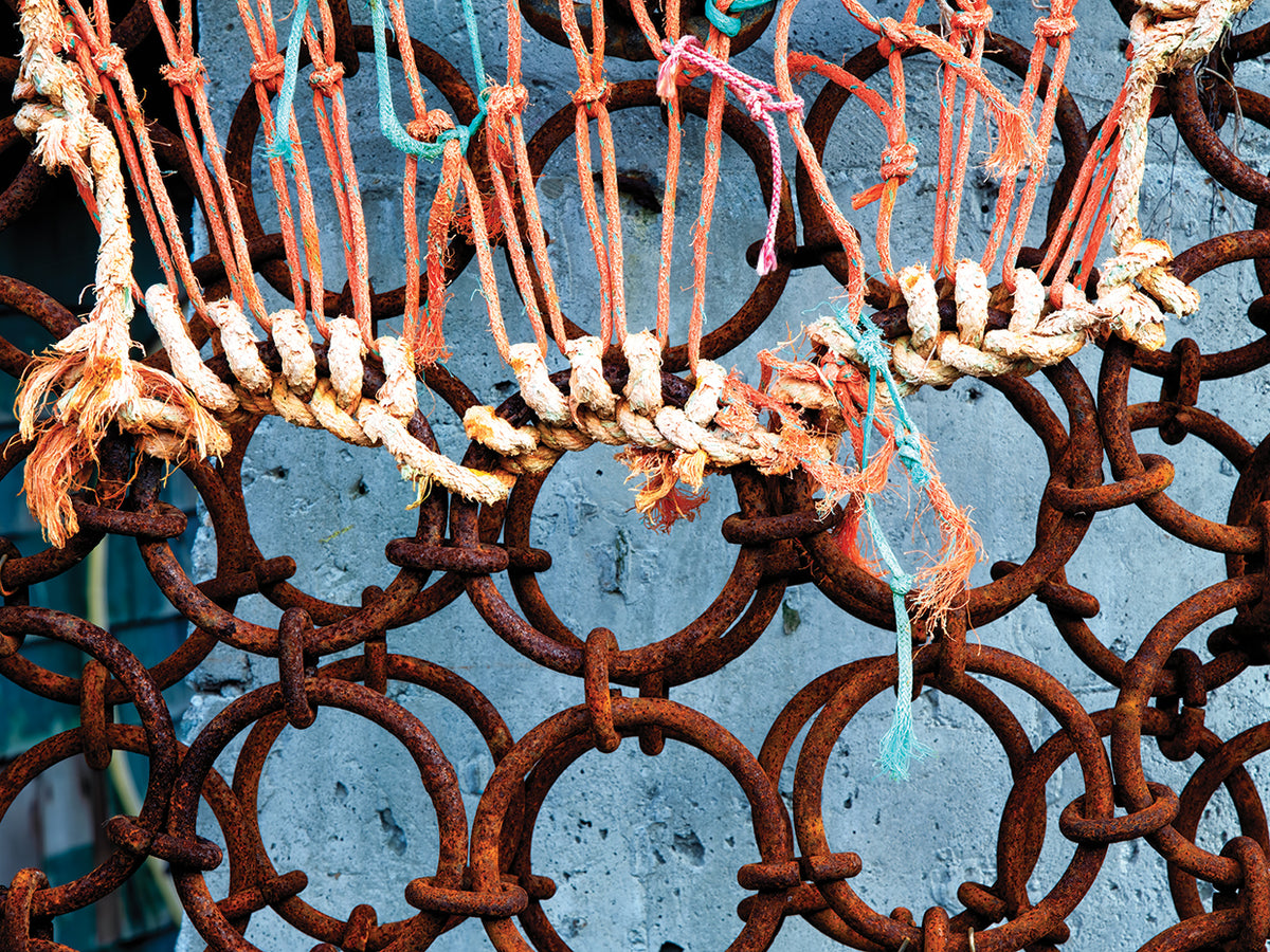 Maine Net Rings