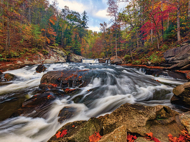 Autumn Below Baby Falls.tif