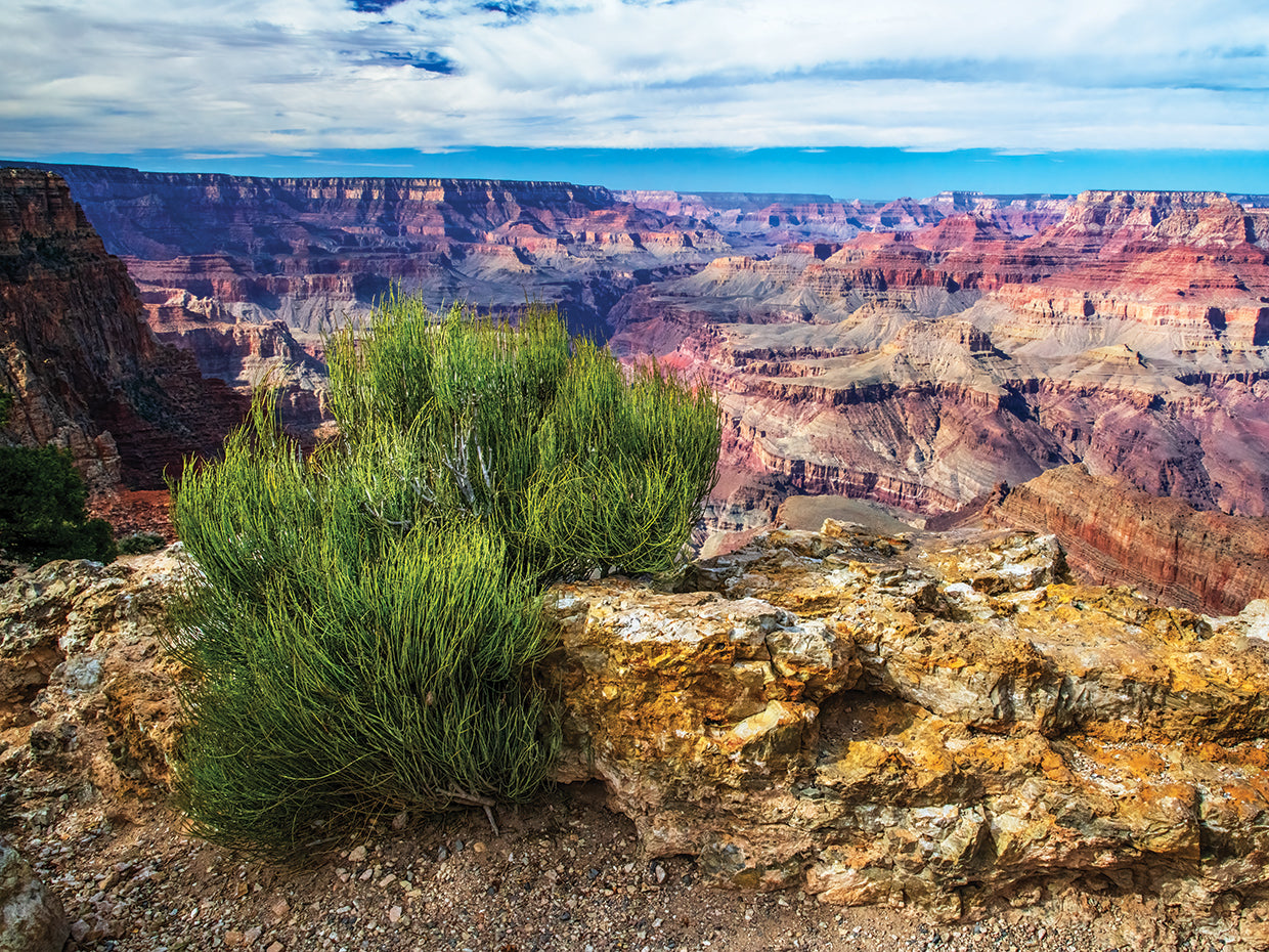 Grand Canyon South Rim National Park
