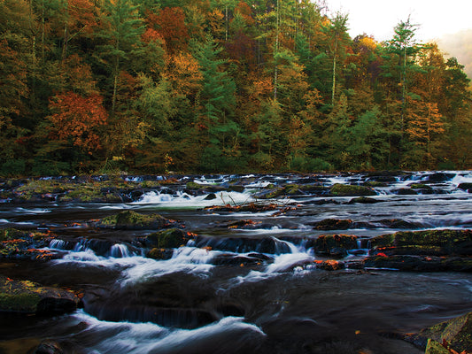 Autumn on the Tellico River
