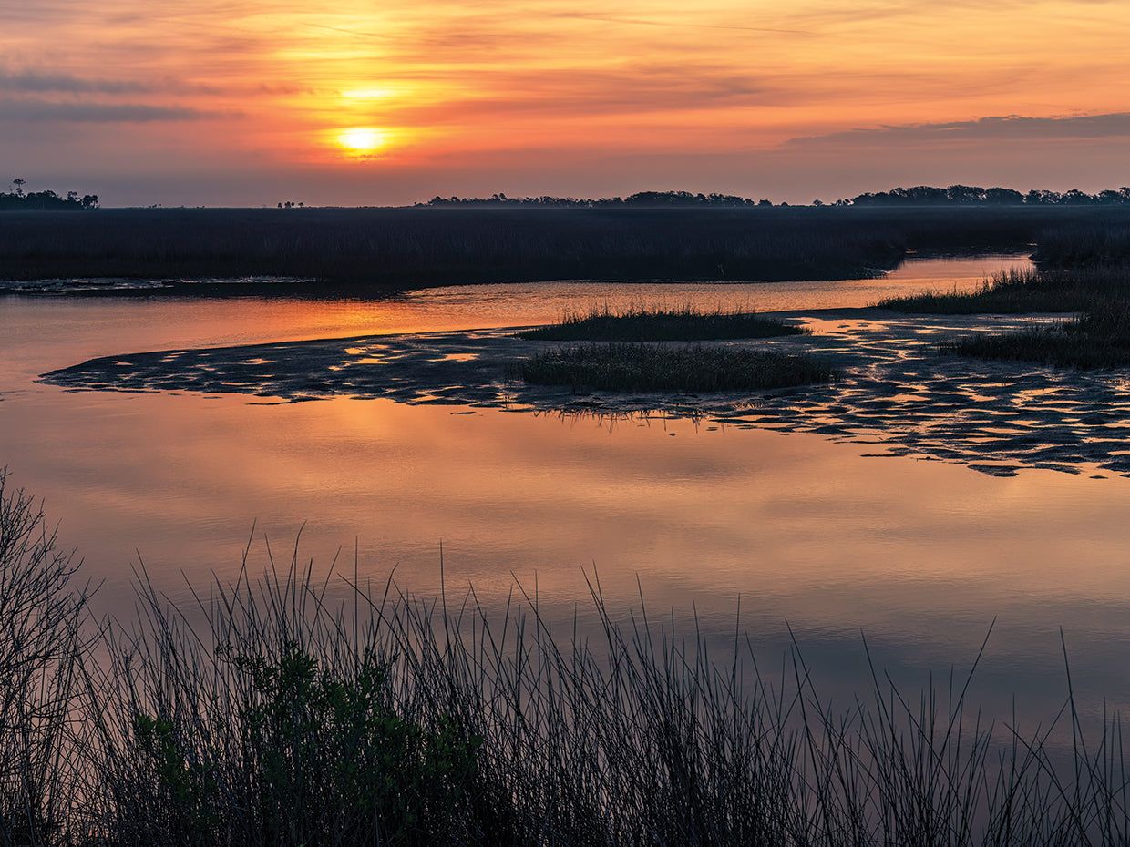 Florida Big Bend Sunrise