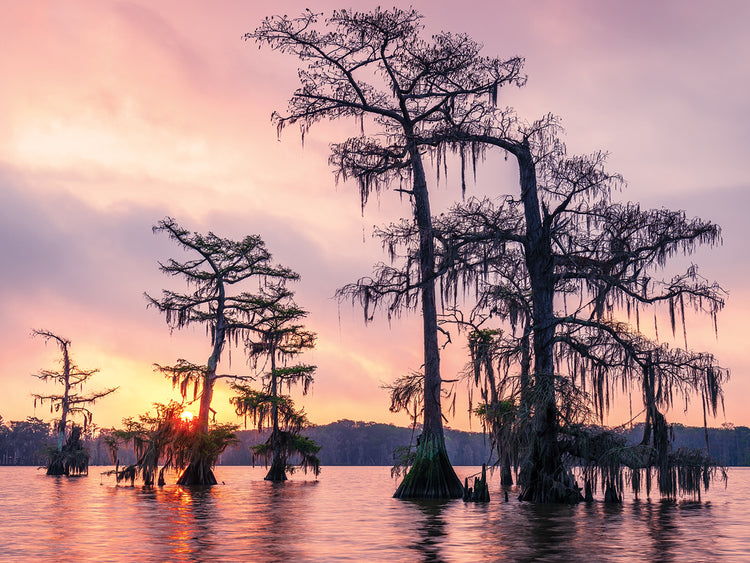 Sunrise Over Lake Palourde