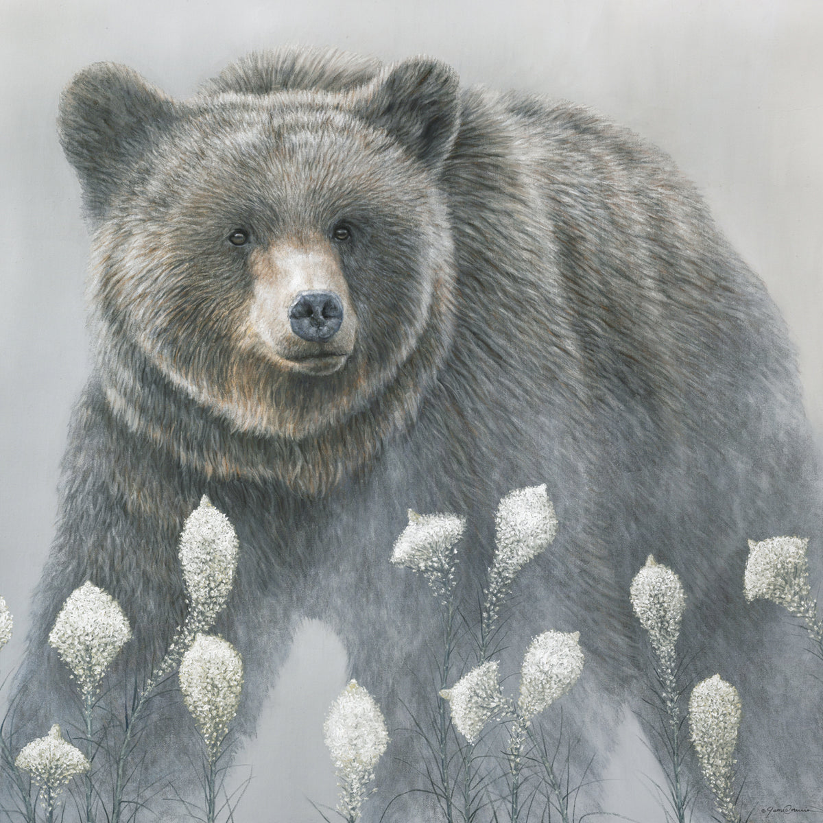 Beargrass
