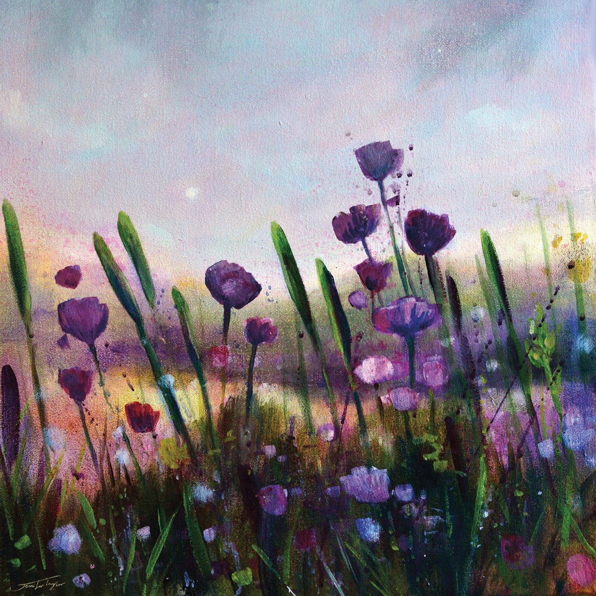 Summer Light