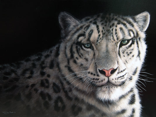 Snow leopard Canvas Print
