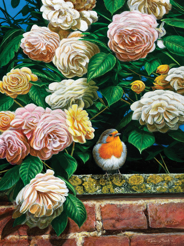 Over the garden wall - robin and roses