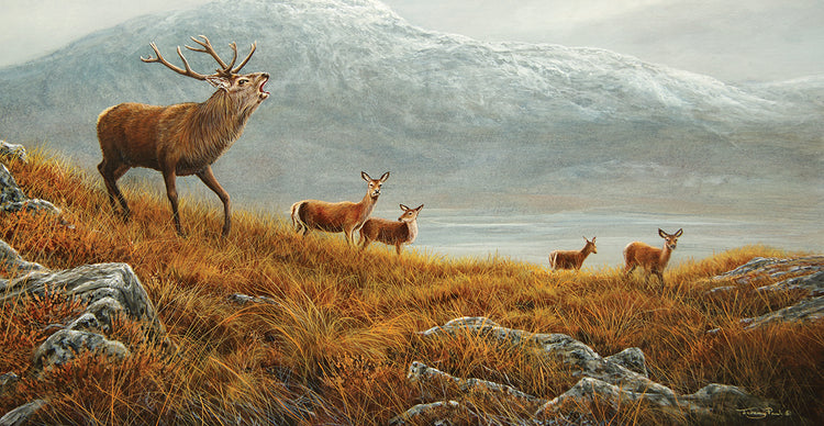 1248 Winter is coming