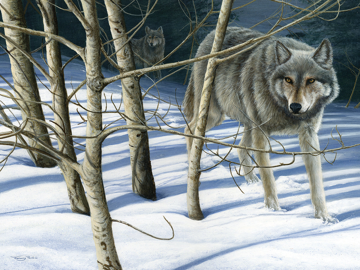 Yellowstone wolves