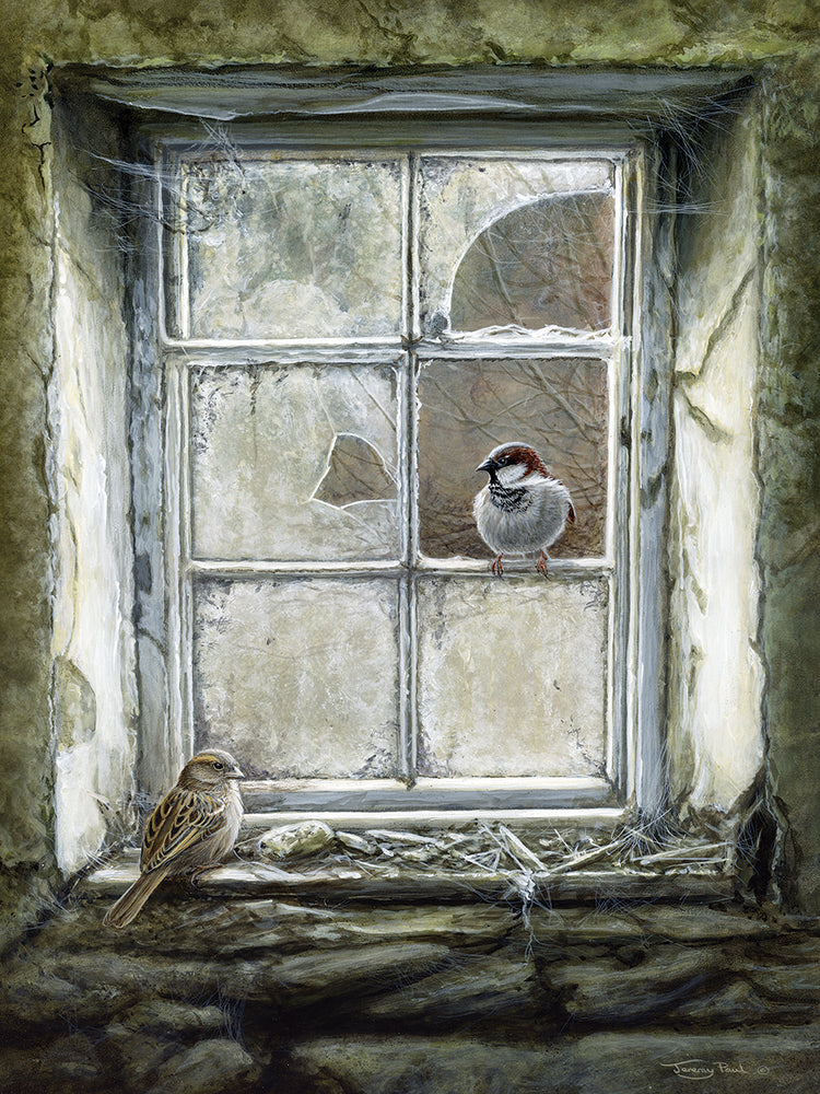 Moving in - house sparrows