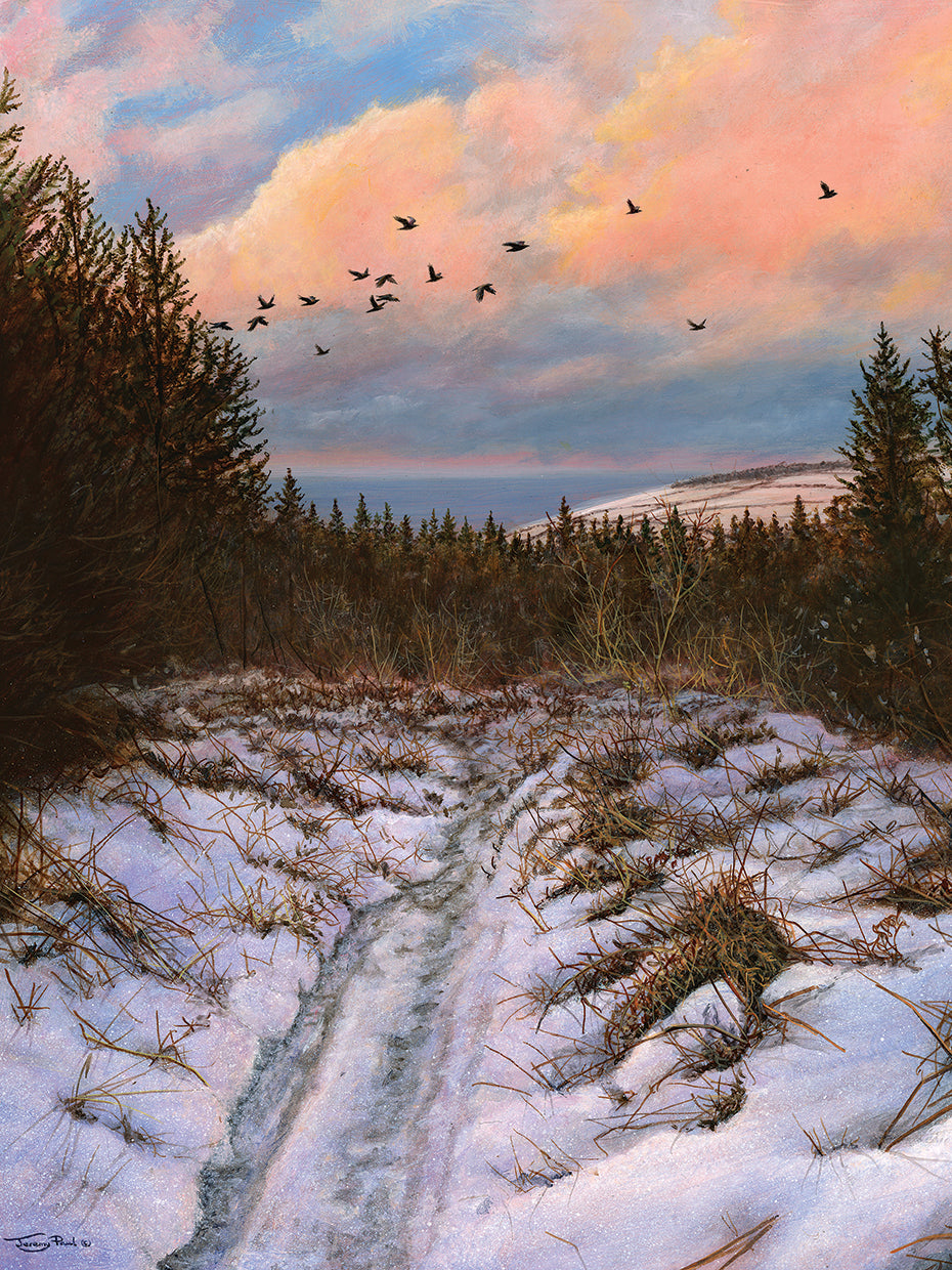 Birds flying high' - Path to Cringle