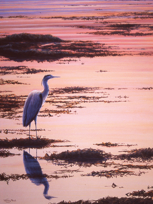 Heron sunset Canvas Print
