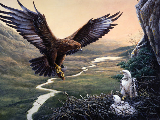76 Return - golden eagle Canvas Print
